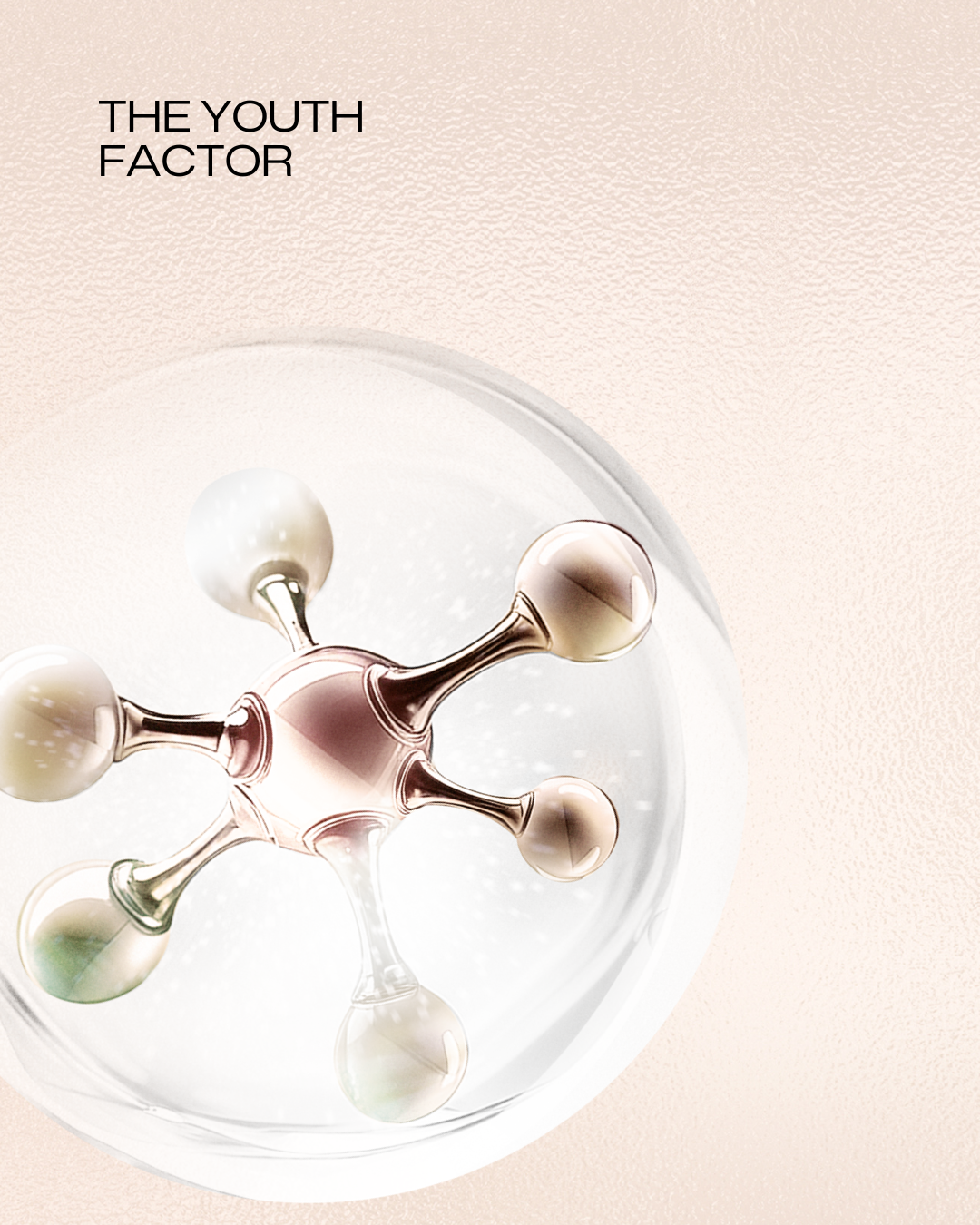 The Lotion 1