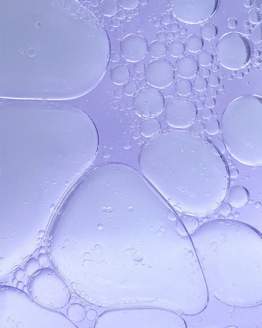 The Lavender Oil